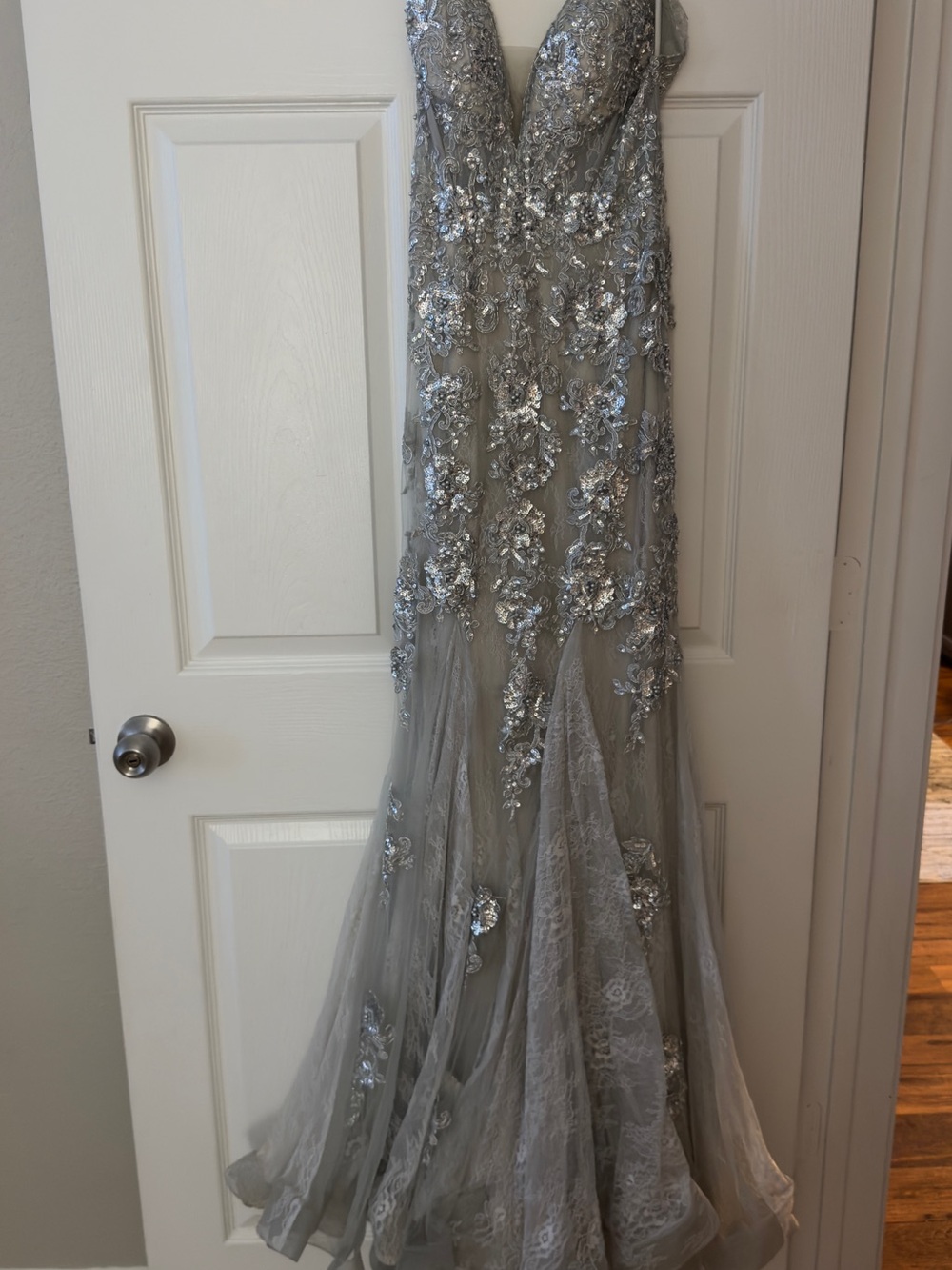Camilla Silver Long-Sleeve Embellished Evening Gown